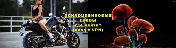гашик Среднеколымск