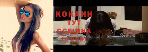 кокс Аркадак