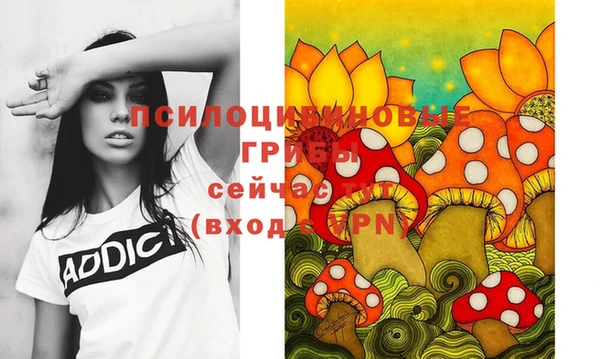 кокс Аркадак