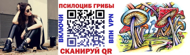 Галлюциногенные грибы Psilocybine cubensis Бавлы